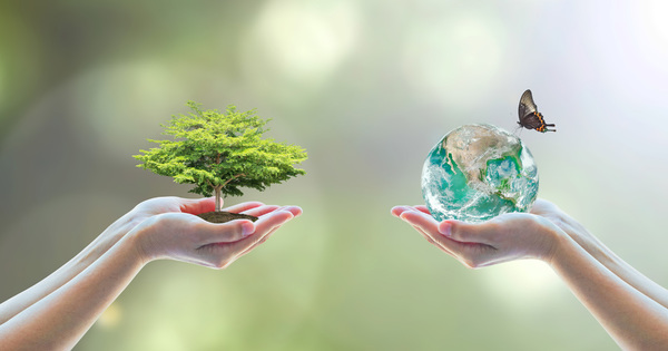 �Nous mettons au point un indicateur mesurant l'impact des acteurs �conomiques sur la biodiversit�