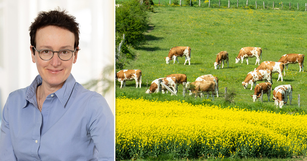 ��L'agriculture est au c�ur des enjeux environnementaux et soci�taux de demain��