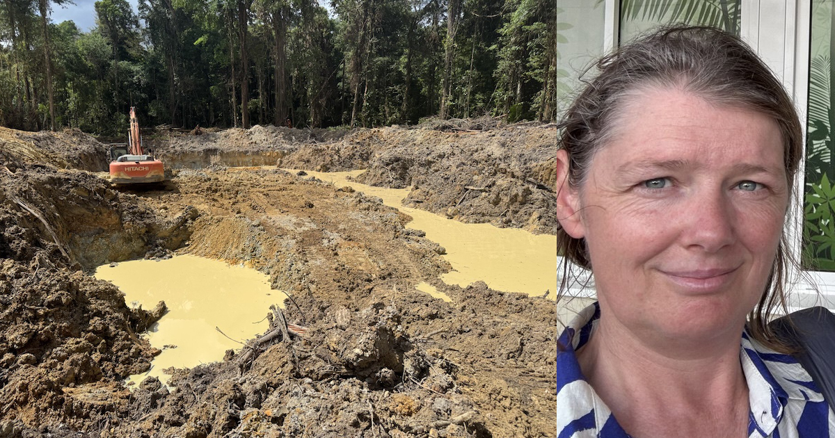 ��Il faut arr�ter d'urgence l'orpaillage alluvial qui cause beaucoup de d�g�ts dans les cours d'eau guyanais��