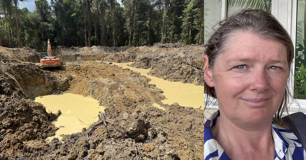 ��Il faut arr�ter d'urgence l'orpaillage alluvial qui cause beaucoup de d�g�ts dans les cours d'eau guyanais��