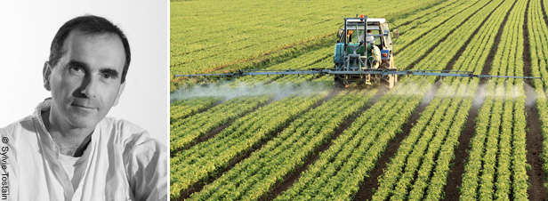 “ Des pesticides restent autorisés alors qu'ils devraient, selon l'Anses, être interdits ”