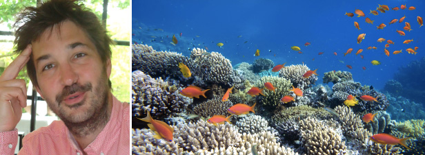 “ Le droit de la mer n'est pas à la hauteur des enjeux actuels de la biodiversité marine ”