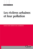 Les rivires urbaines et leur pollution