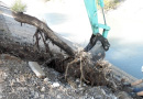 Suivi des chantiers de dessouchage - reconstitution d'ouvrages hydrauliques par ARBEAUSOLutions