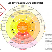 Ecosystème de l'AMU en France