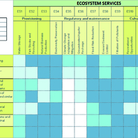 Exemple de matrice d'�valuation des impacts �cosyst�miques des NWRM