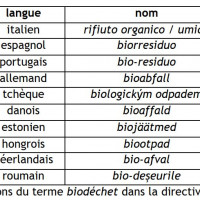 Tableau 1Traductions du terme biodchet dans la directive de 2008