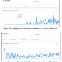 Graphiques 5-6 Synth�se Google Trends