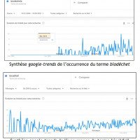 Graphiques 5-6 Synthse Google Trends
