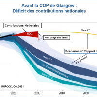 Avant la COP de Glasgow : déficit des contributions nationales