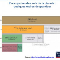 1 : Occupation de l’espace « habitable » : agriculture 50 % ; forêts 37 % ; espaces urbains 1%