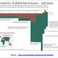 3 : Le pic de déforestation : années 80 pour les forêts tropicales, années 20-40 pour les forêts tempérées