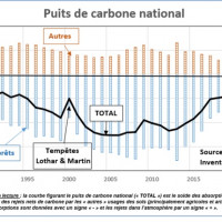 Illustration 3, Puits de carbone national
