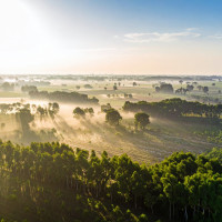 Vue a�rienne d'un syst�me agroforestier � Mayangstudio