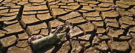 Journée mondiale de lutte contre la désertification : la terre se dégrade, au Nord comme au Sud