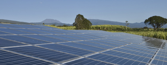 Moratoire photovoltaïque : le secteur réitère ses critiques suite à la publication du décret