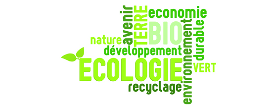 Responsabilité sociétale et environnementale : les entreprises à la croisée des chemins