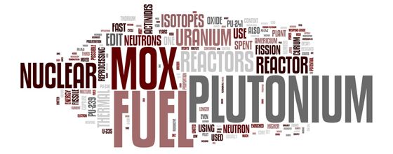 Nucléaire : l'Autorité environnementale s'interroge sur la filière Mox développée par EDF