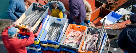 Pêche : la France condamnée à une astreinte de 57 millions d'euros