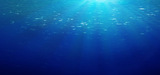 Les fonds marins, une future source de production de mtaux rares ?