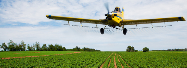 Huit cents épandages aériens de pesticides autorisés cette année