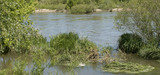 Crues : quelles contaminations des eaux de rivières en milieu agricole ?
