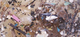 290 milliards de microplastiques en Mditerrane