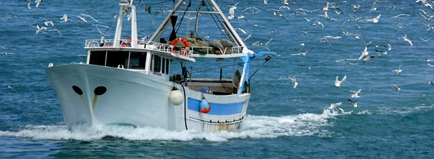 Réforme de la pêche : un premier accord des ministres européens 