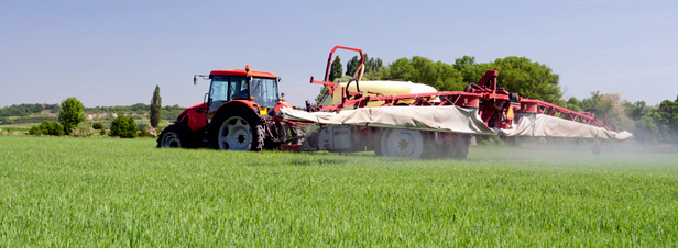 Des pistes pour réduire l'utilisation des produits phytosanitaires