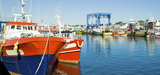 Chalutage en eau profonde : le ministre de la pêche "mène le combat" contre le projet d'interdiction en Europe