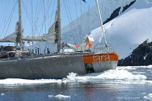 La goélette Tara revient en France pour se préparer à sa nouvelle expédition « Tara Arctic 2007-2008 »