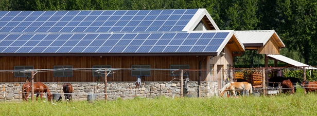 Photovoltaque : la production d'lectricit vendue  des tiers est une activit commerciale