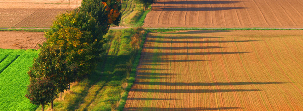 L'agro-écologie, modèle agricole français de demain ?