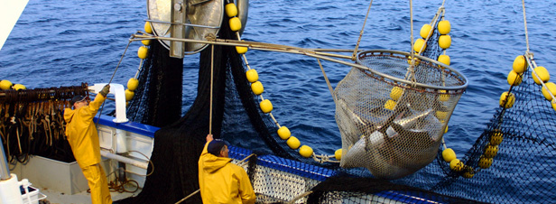  Réforme de la pêche : les eurodéputés votent l'interdiction progressive des rejets en mer à compter de 2014