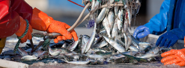 Nouvel accord sur la réforme de la politique commune de la pêche