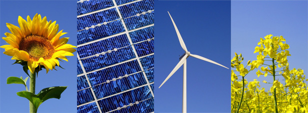 Energies renouvelables : le SER veut un plan de relance