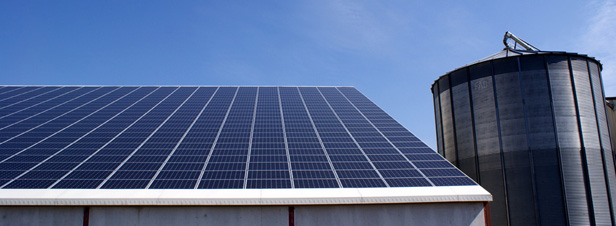 Raccordement photovoltaque : le manquement d'ERDF reconnu par la Cour de cassation