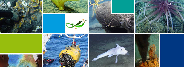 Ressources minérales marines profondes : leur exploitation détruirait irrémédiablement les habitats