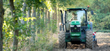 Lancement d'un plan national pour dvelopper et grer durablement l'agroforesterie
