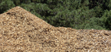 Le Gouvernement lance l'laboration de la stratgie nationale de mobilisation de la biomasse