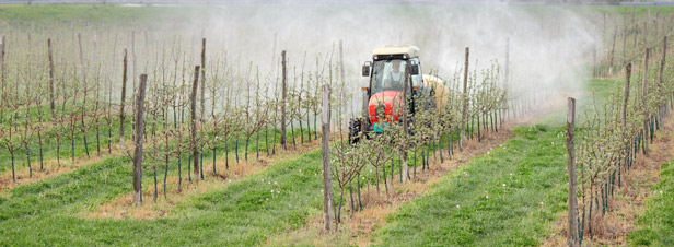Certificats d'économie de pesticides : c'est parti !