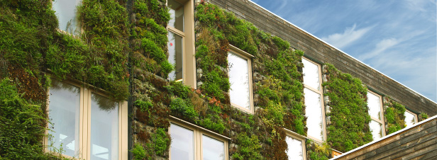 La biodiversité, nouvel enjeu du bâtiment durable