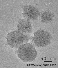 Les nanocornets de carbone potentiellement efficaces pour stocker l'hydrogne