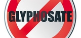 Le gouvernement prépare un plan de sortie du glyphosate