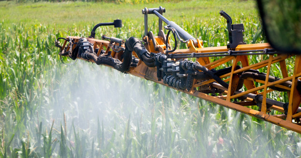 Renouvellement du glyphosate�: non pour 10 ans mais pourquoi pas 4 ans�?