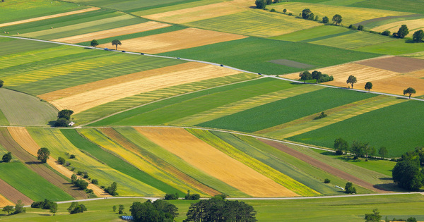 Mieux conna�tre les �cosyst�mes agricoles pour am�liorer les pratiques