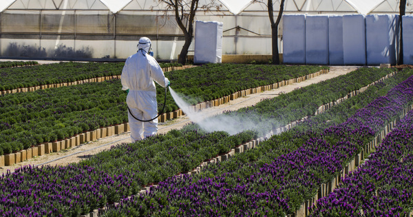Renouvellement du glyphosate�: l'UE ne parvient toujours pas � s'accorder