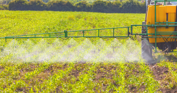Les Etats membres renouvellent le glyphosate pour cinq ans suppl�mentaires