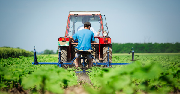 L'Inra remet son rapport sur le glyphosate au gouvernement
