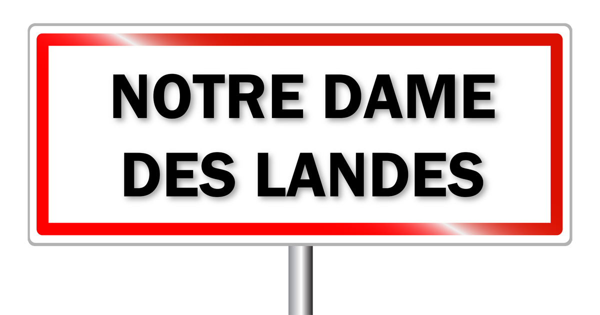 Notre-Dame-des-Landes : les médiateurs soulignent les atouts d'agrandir l'aéroport existant